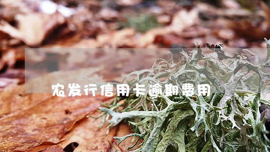 农发行信用卡逾期费用 农发行信用卡逾期费用