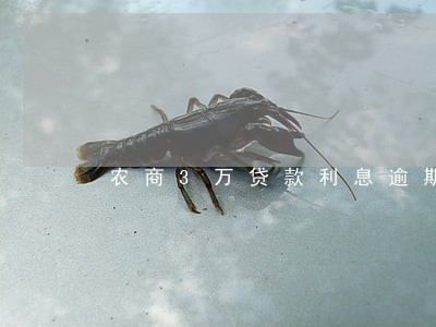 农商3万贷款利息逾期怎么算 农商3万贷款利息逾期怎么算