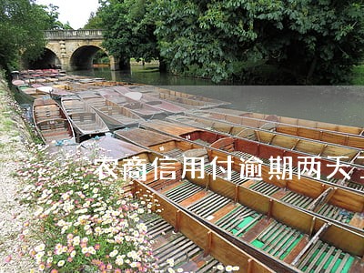 农商信用付逾期两天了