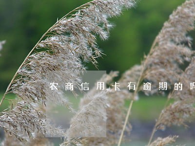 农商信用卡有逾期的吗 农商信用卡有逾期的吗