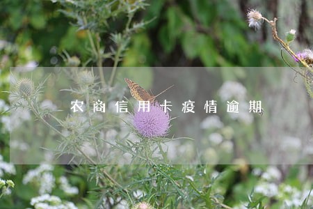 农商信用卡疫情逾期 农商信用卡疫情逾期