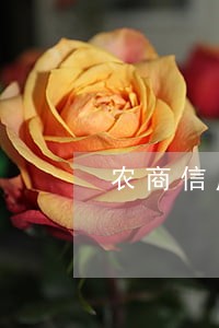 农商信用卡还款逾期3天 农商信用卡还款逾期3天