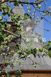 农商信用卡逾期 农商信用卡逾期