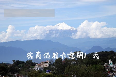 农商信用卡逾期1天 农商信用卡逾期1天