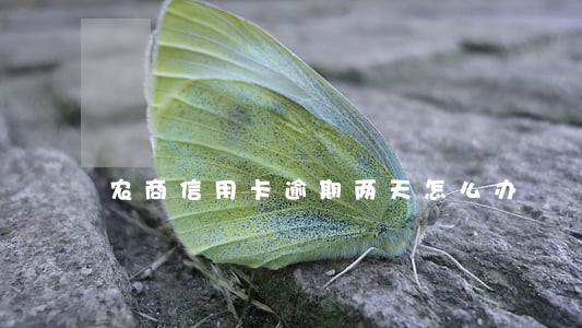 农商信用卡逾期两天怎么办