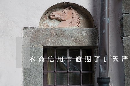 农商信用卡逾期了1天严重吗 农商信用卡逾期了1天严重吗