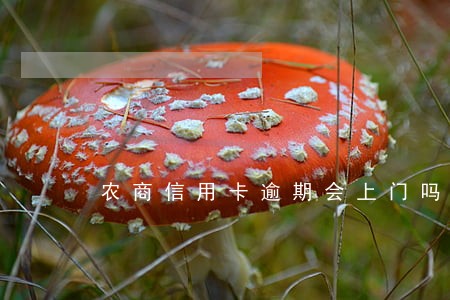 农商信用卡逾期会上门吗