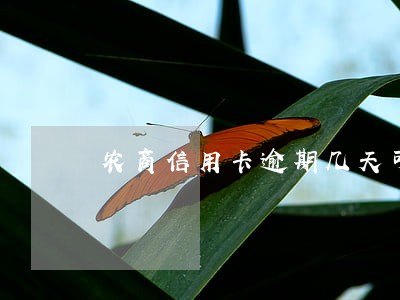 农商信用卡逾期几天可以还款