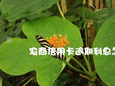 农商信用卡逾期利息怎么算