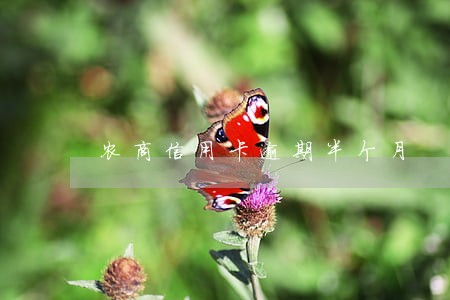 农商信用卡逾期半个月 农商信用卡逾期半个月