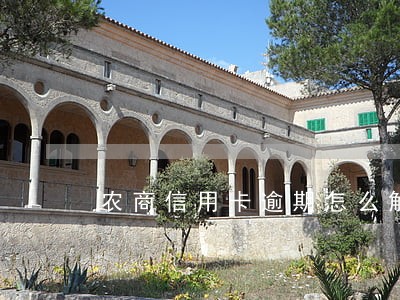 农商信用卡逾期怎么解决