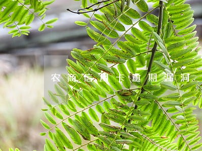 农商信用卡逾期漏洞 农商信用卡逾期漏洞