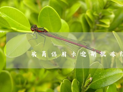 农商信用卡逾期被冻结 农商信用卡逾期被冻结
