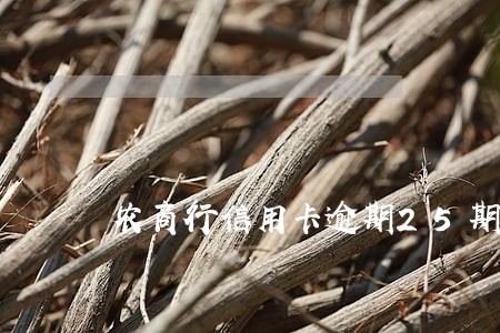 农商行信用卡逾期25期