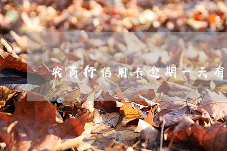 农商行信用卡逾期一天有影响吗 农商行信用卡逾期一天有影响吗
