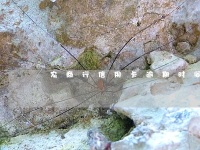 农商行信用卡逾期时间 农商行信用卡逾期时间