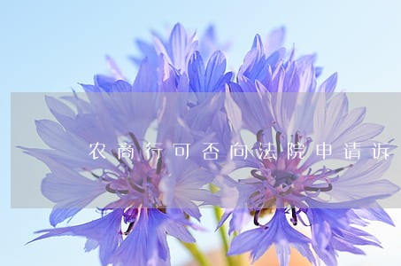 农商行可否向法院申请诉讼费缓交 农商行可否向法院申请诉讼费缓交