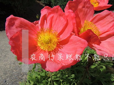 农商行呆账能不能只还本金 农商行呆账能不能只还本金
