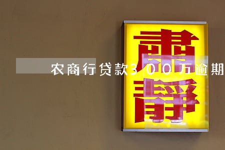 农商行贷款300万逾期 农商行贷款300万逾期