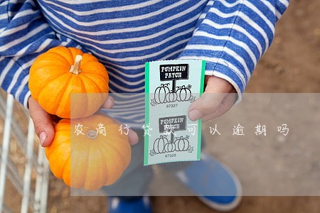 农商行贷款可以逾期吗 农商行贷款可以逾期吗