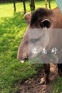农商行贷款逾期冻结了资金 农商行贷款逾期冻结了资金