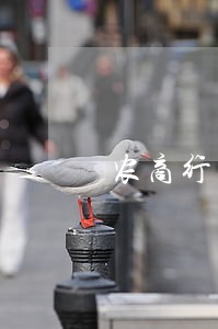 农商行逾期贷款外包服务公司 农商行逾期贷款外包服务公司