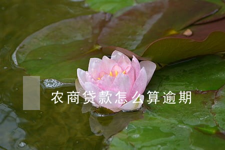 农商贷款怎么算逾期