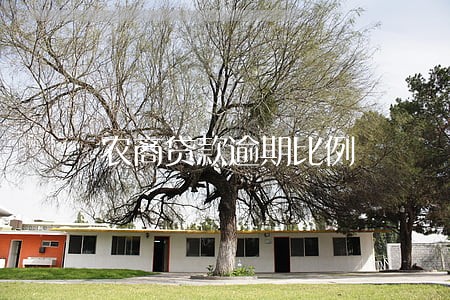 农商贷款逾期比例 农商贷款逾期比例