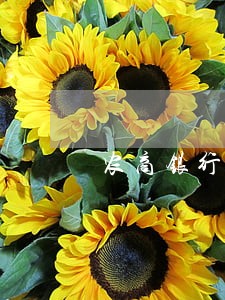 农商银行信用卡最多逾期几天 农商银行信用卡最多逾期几天