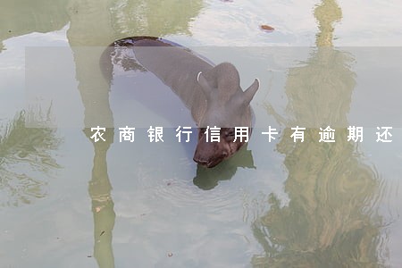 农商银行信用卡有逾期还款