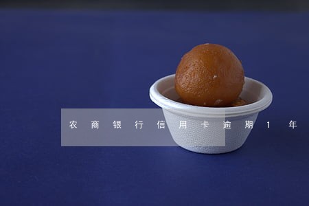 农商银行信用卡逾期1年