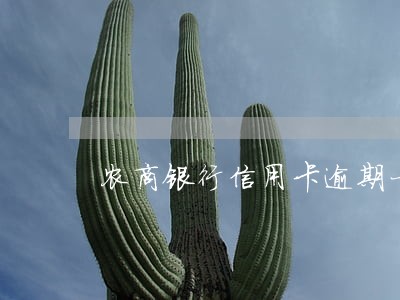 农商银行信用卡逾期一个月