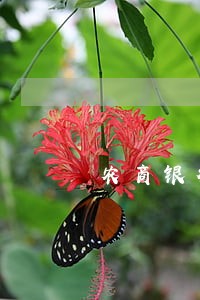 农商银行信用卡逾期一个月多少钱