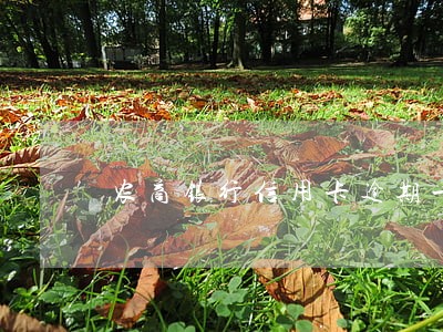 农商银行信用卡逾期一天后果 农商银行信用卡逾期一天后果