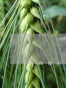 农商银行信用卡逾期一天多还 农商银行信用卡逾期一天多还