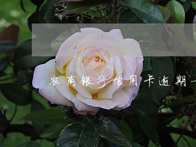 农商银行信用卡逾期一年会怎样