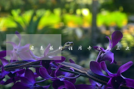 农商银行信用卡逾期三次 农商银行信用卡逾期三次