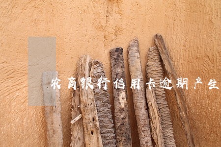 农商银行信用卡逾期产生利息