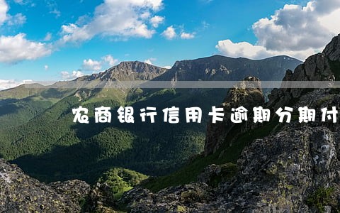 农商银行信用卡逾期分期付款