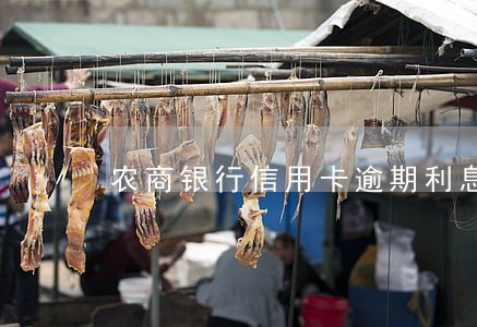 农商银行信用卡逾期利息怎么算 农商银行信用卡逾期利息怎么算