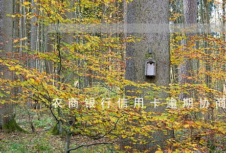 农商银行信用卡逾期协商流程上海