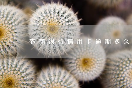 农商银行信用卡逾期多久