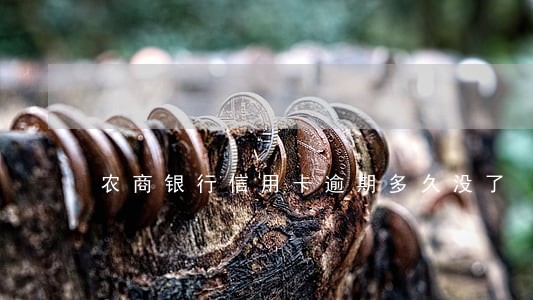 农商银行信用卡逾期多久没了 农商银行信用卡逾期多久没了