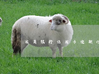 农商银行信用卡逾期计算