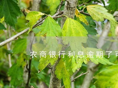 农商银行利息逾期了可以消除吗 农商银行利息逾期了可以消除吗
