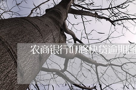 农商银行叮咚快贷逾期图片 农商银行叮咚快贷逾期图片