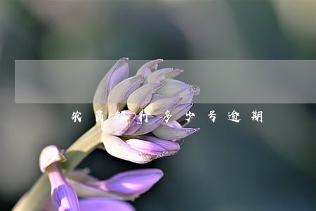 农商银行多少号逾期 农商银行多少号逾期