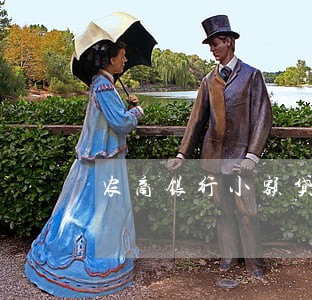 农商银行小额贷款逾期 农商银行小额贷款逾期