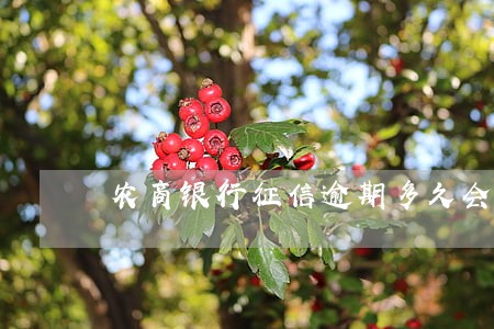 农商银行征信逾期多久会上征信 农商银行征信逾期多久会上征信