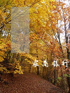 农商银行房贷逾期10天怎么办 农商银行房贷逾期10天怎么办